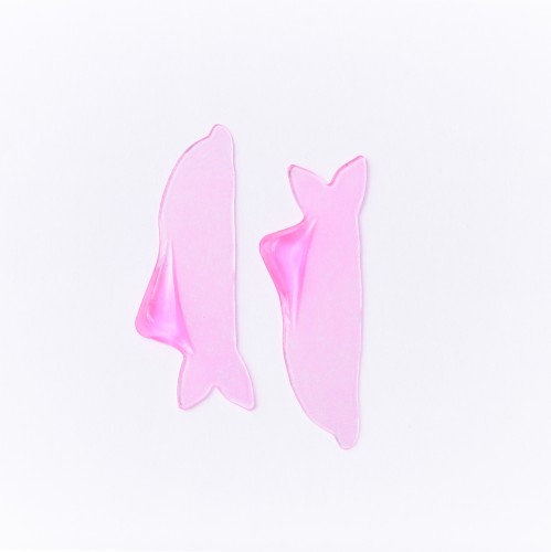 dolphin-jelly