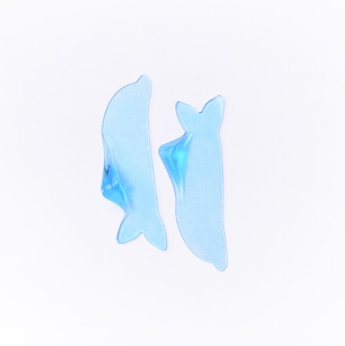 dolphin-jelly